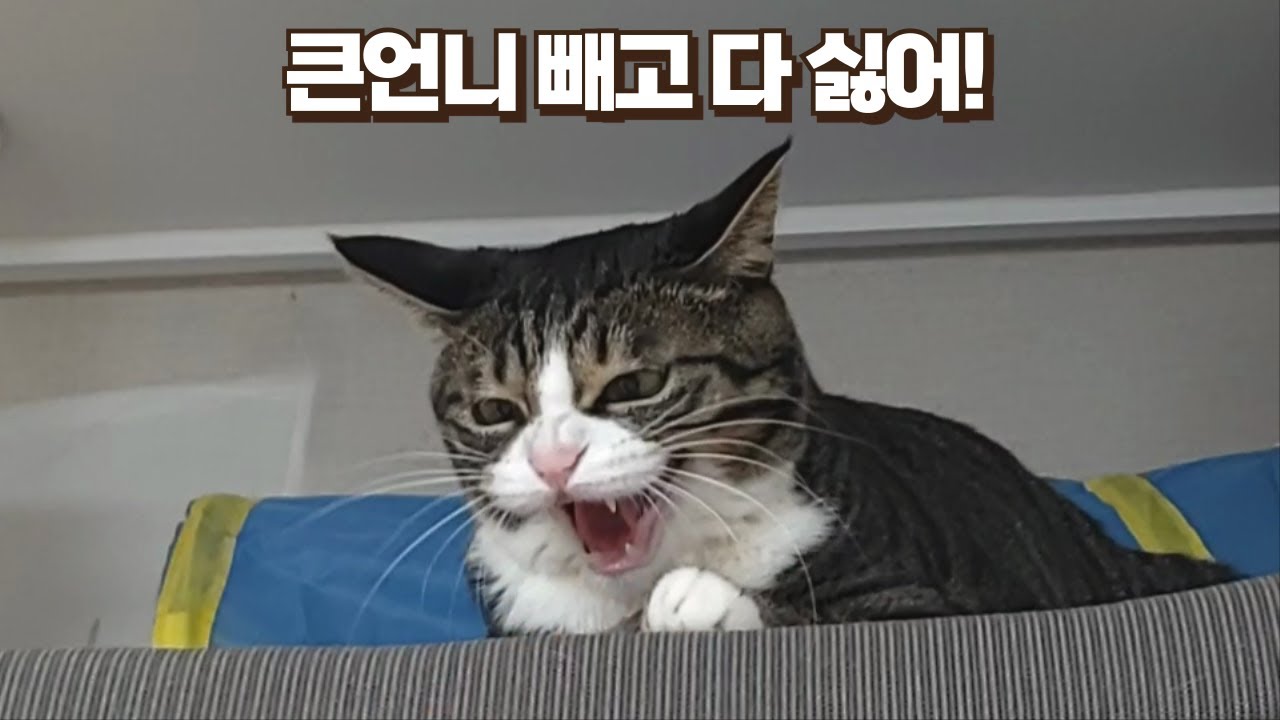youtube-thumbnail