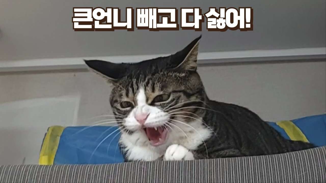 youtube-thumbnail