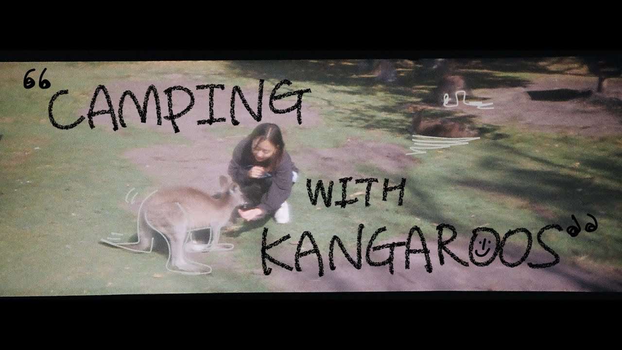 youtube-thumbnail