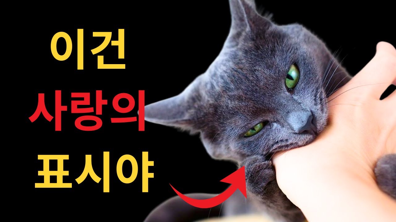 youtube-thumbnail