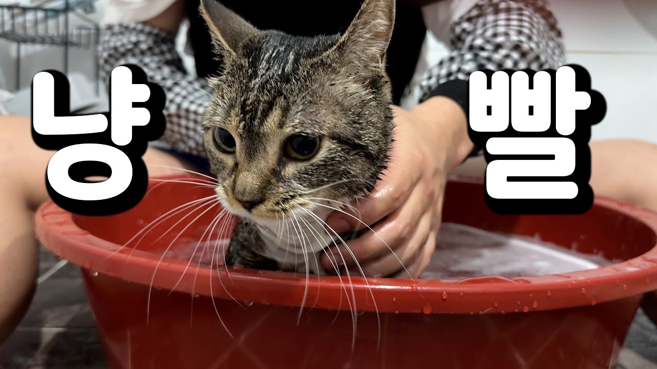 youtube-thumbnail
