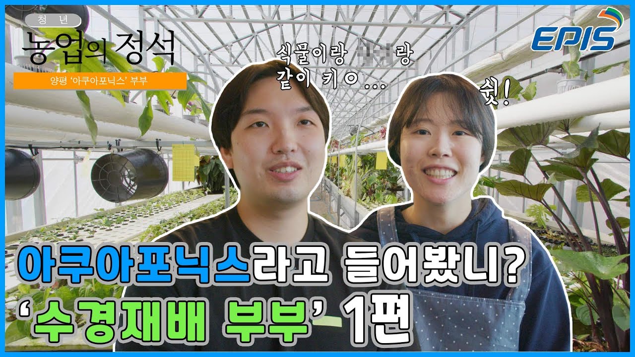 youtube-thumbnail