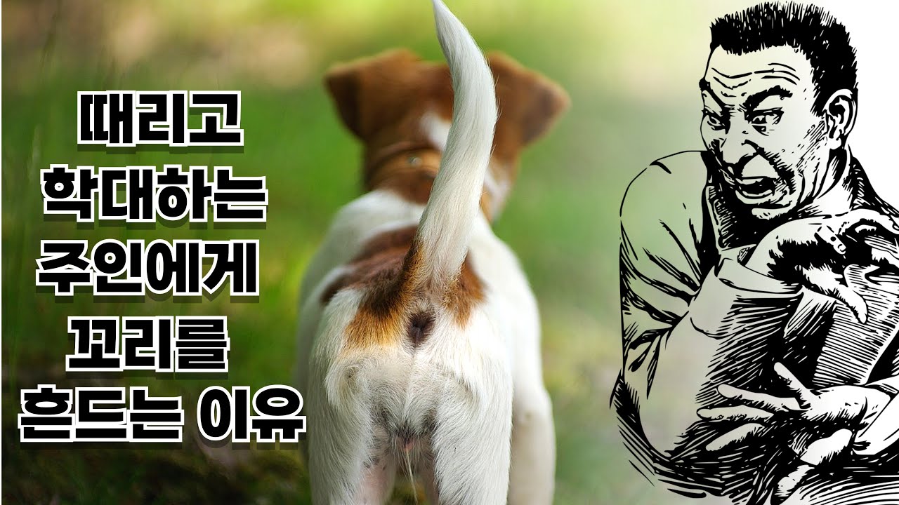 youtube-thumbnail