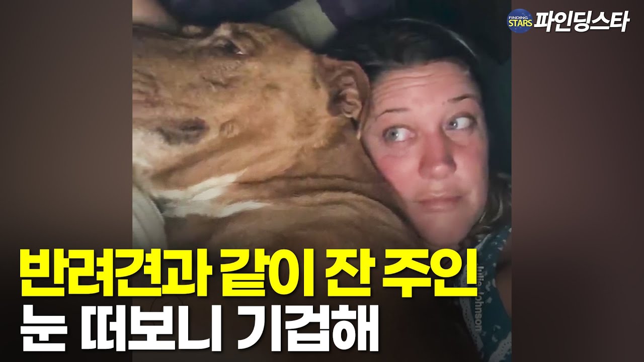 youtube-thumbnail