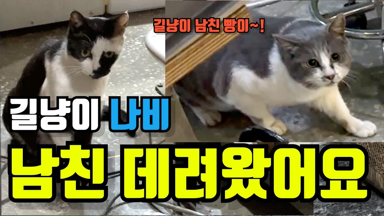 youtube-thumbnail