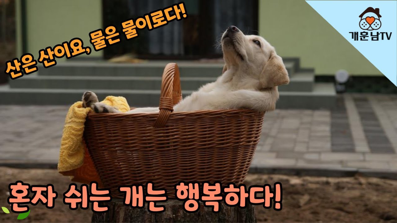 youtube-thumbnail