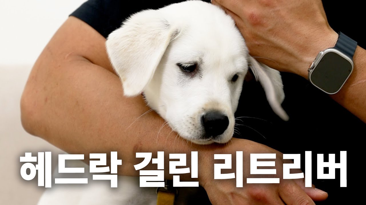 youtube-thumbnail