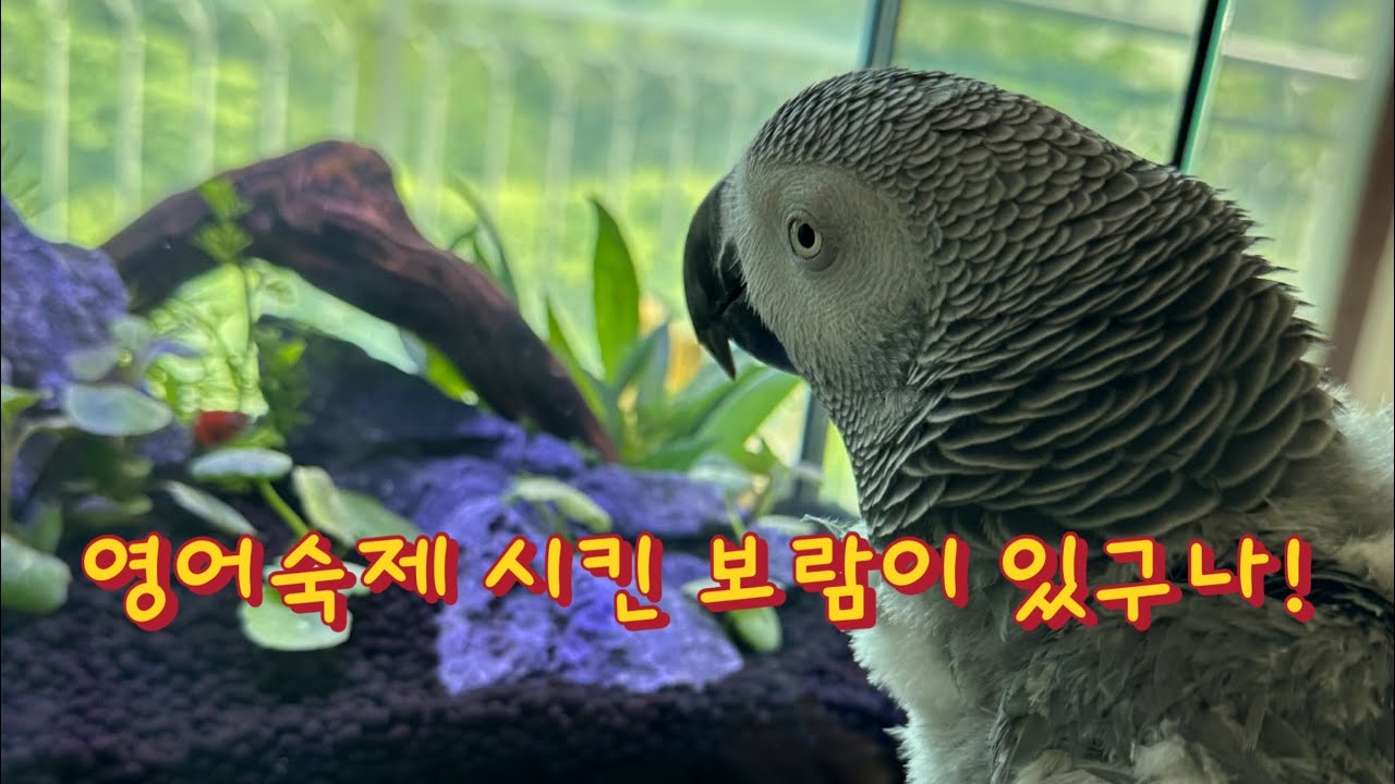 youtube-thumbnail