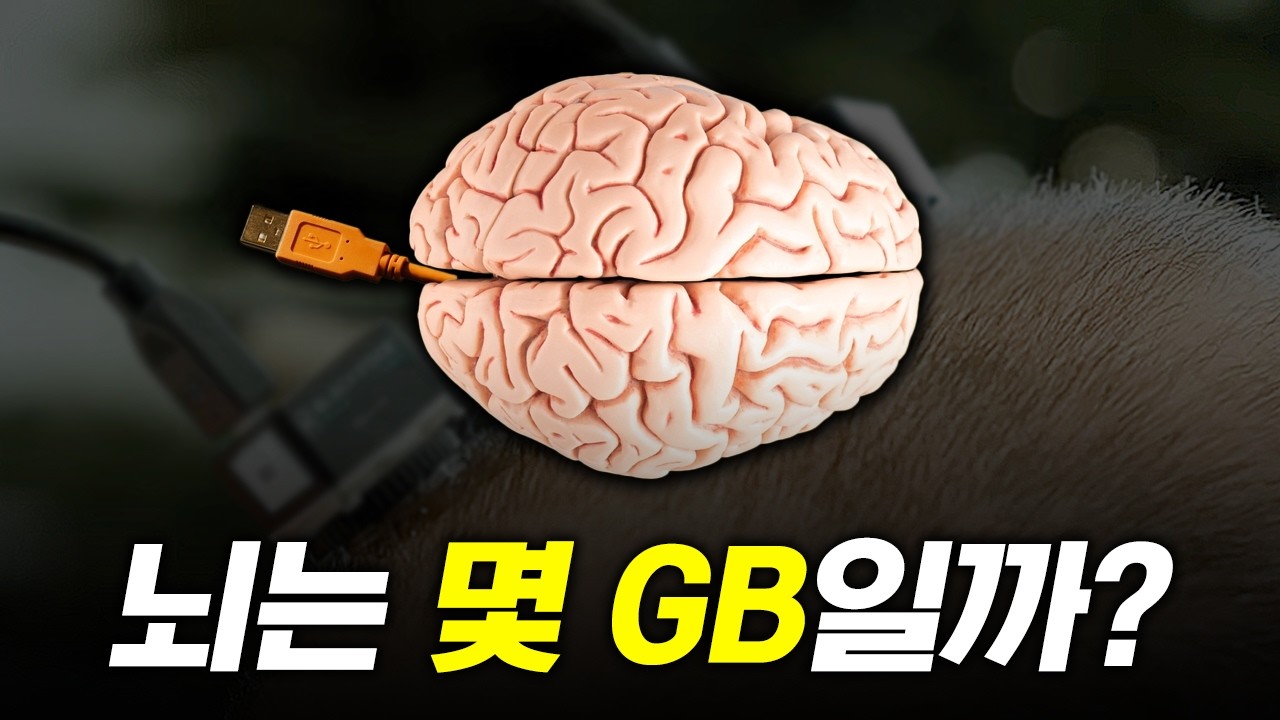 youtube-thumbnail
