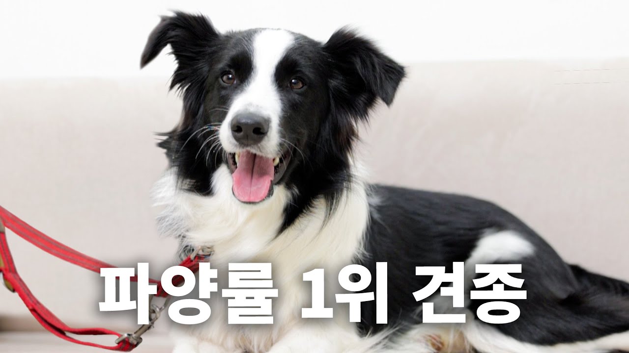 youtube-thumbnail