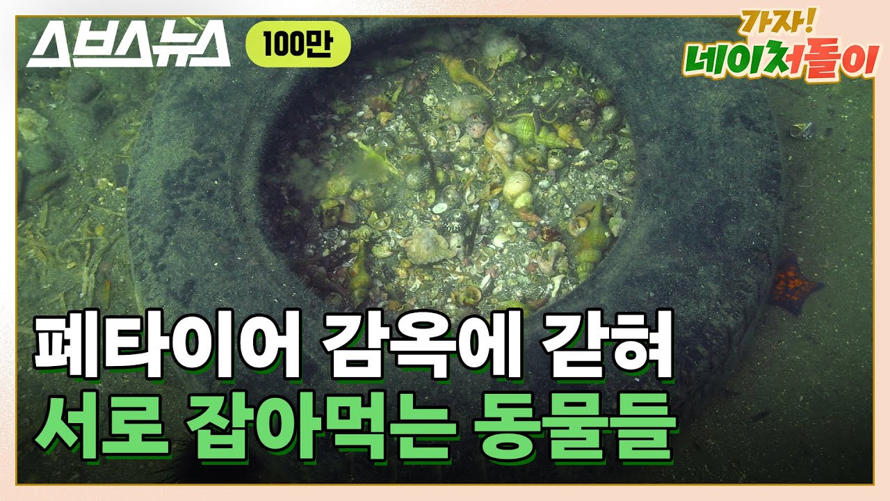 youtube-thumbnail