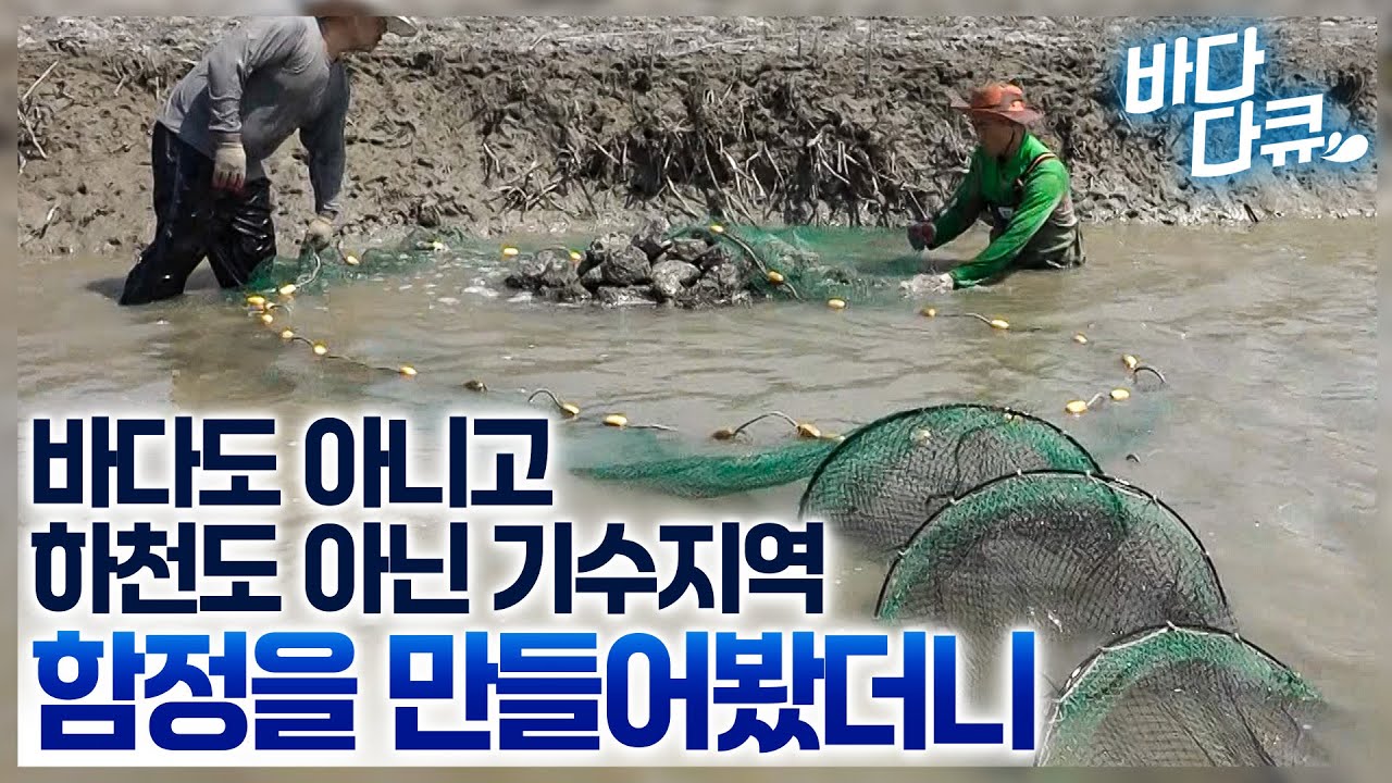 youtube-thumbnail