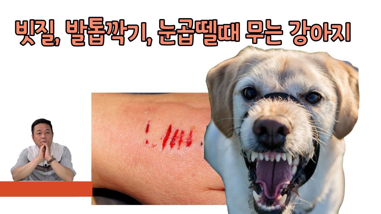 youtube-thumbnail