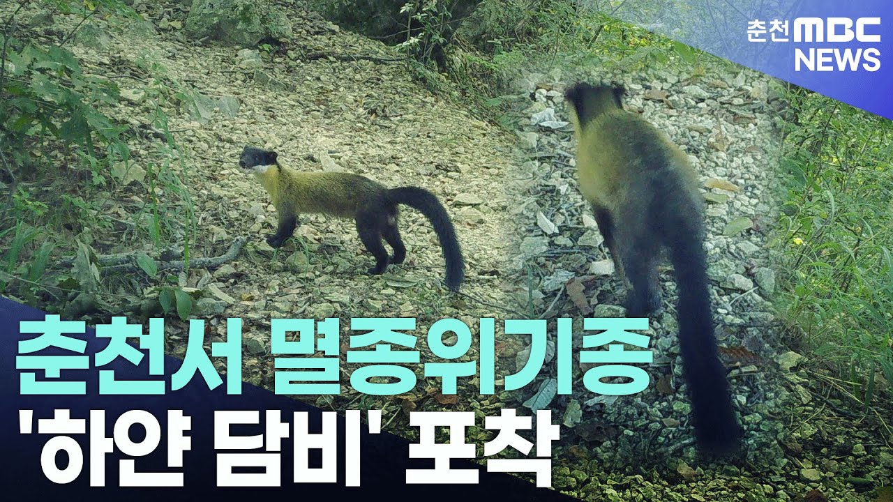youtube-thumbnail