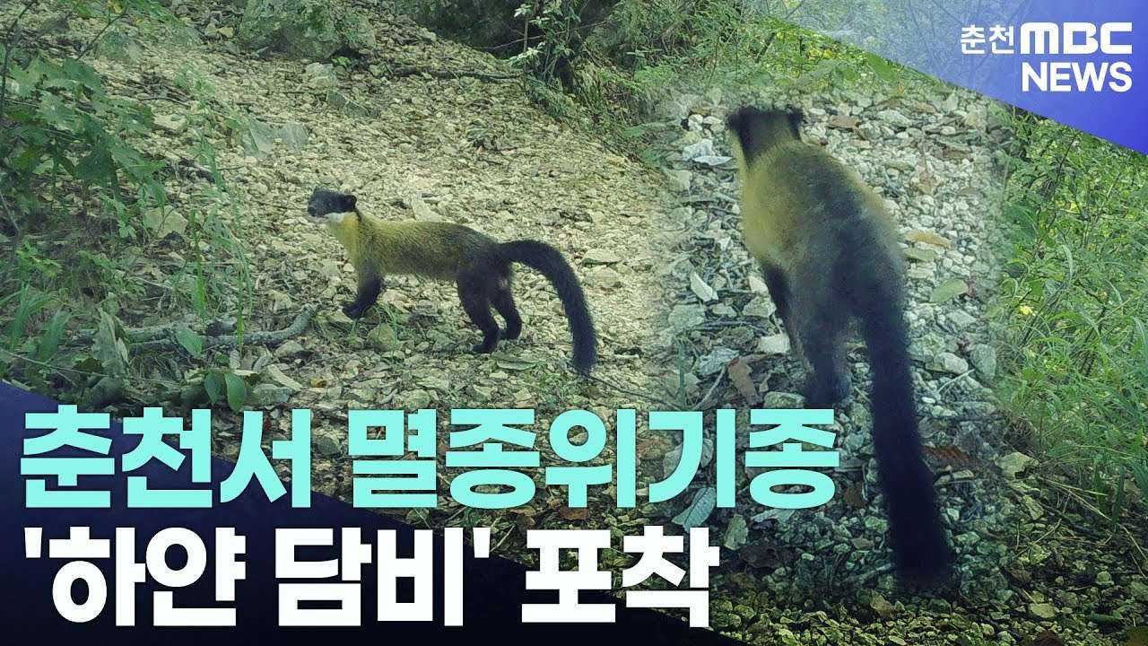 youtube-thumbnail