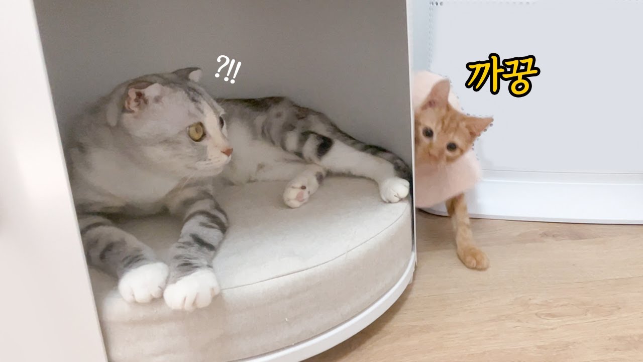 youtube-thumbnail
