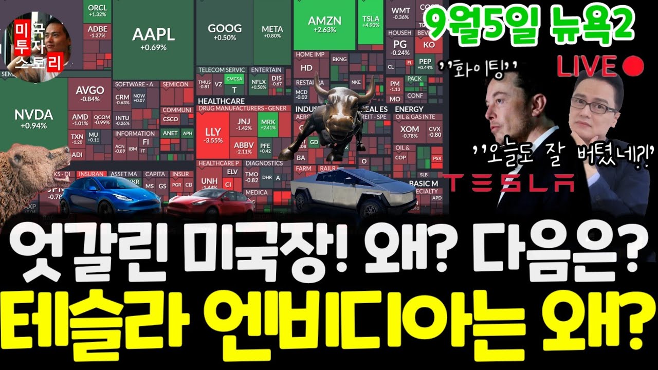 youtube-thumbnail