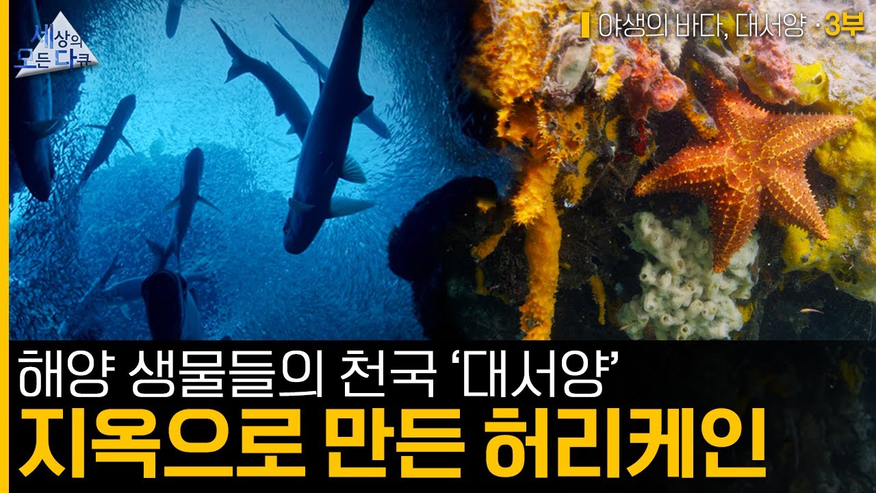 youtube-thumbnail