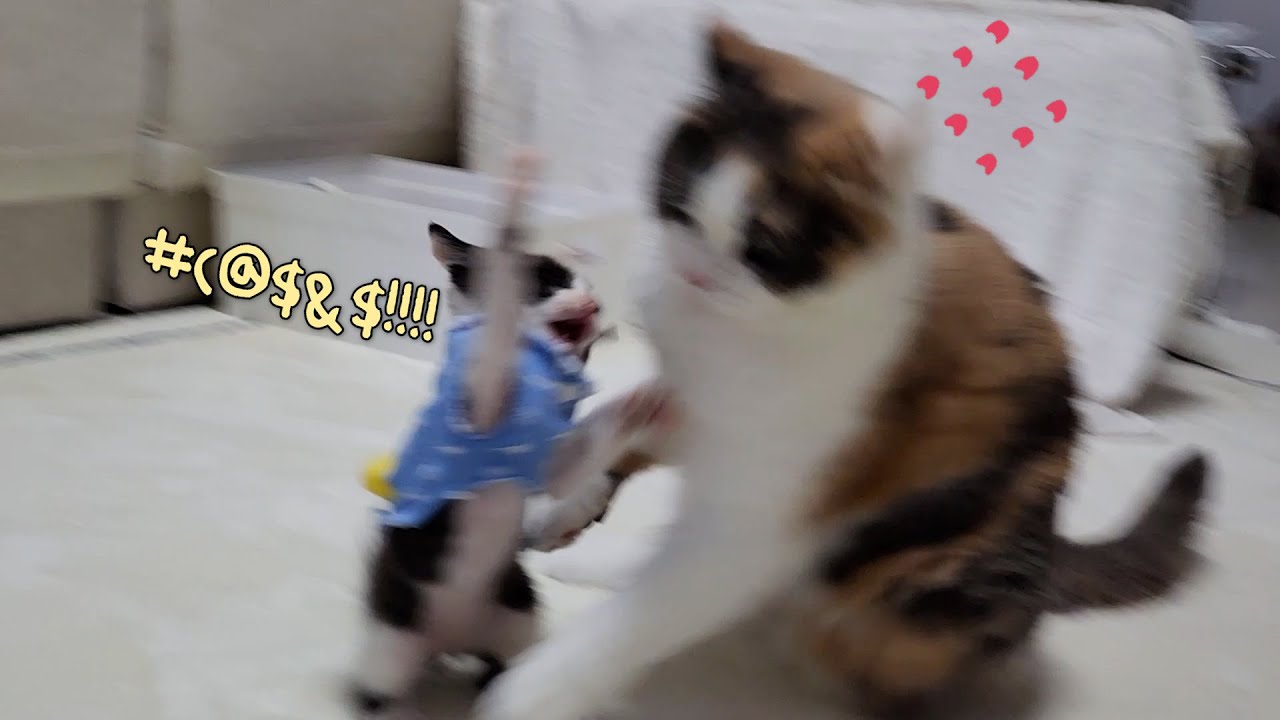 youtube-thumbnail