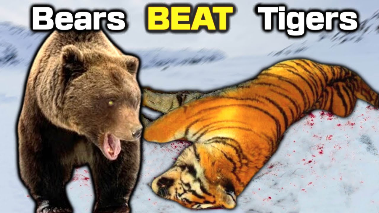 youtube-thumbnail