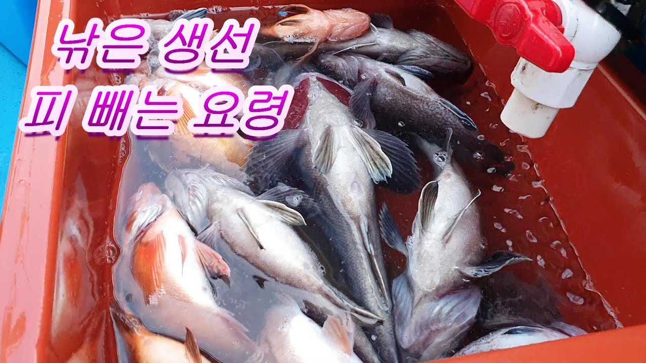 youtube-thumbnail