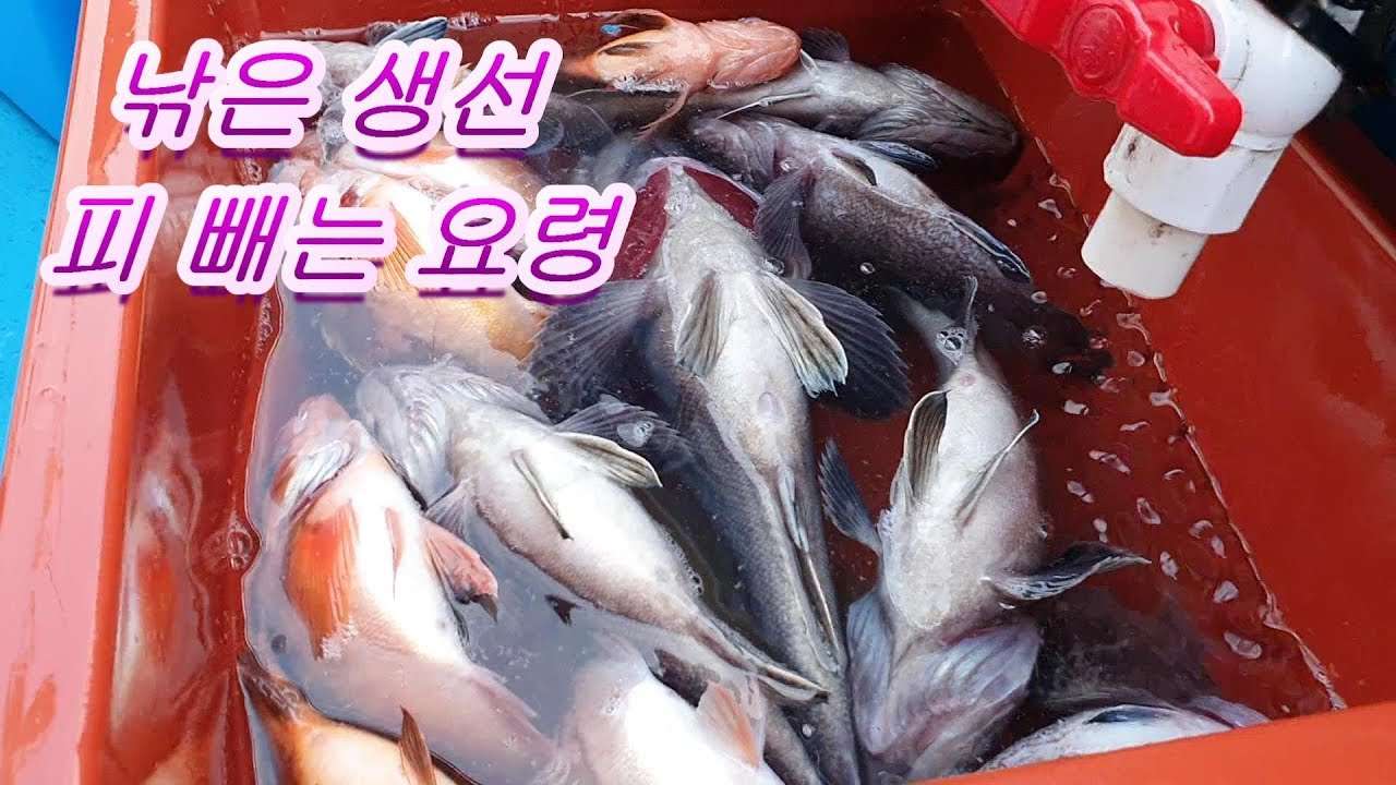 youtube-thumbnail