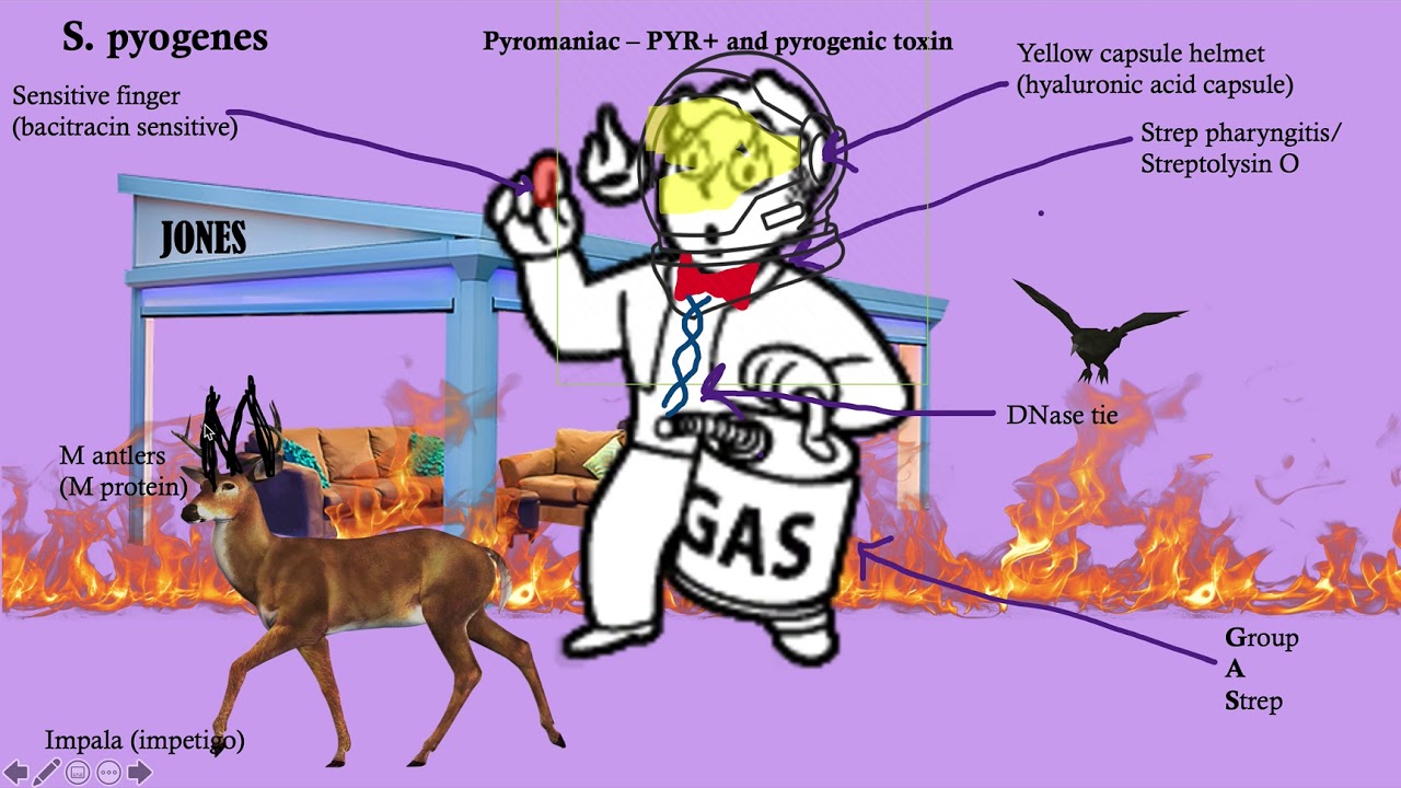 youtube-thumbnail