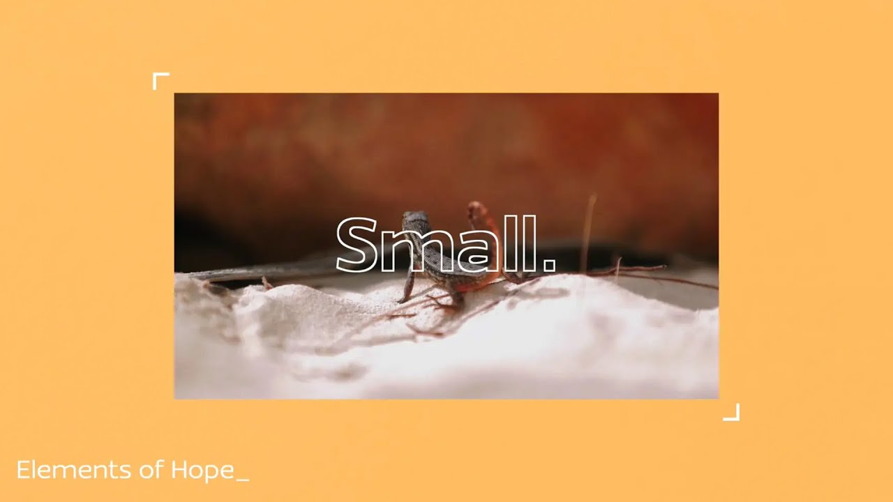 youtube-thumbnail