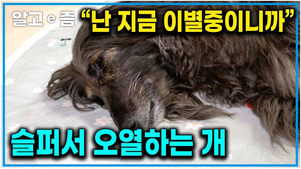 youtube-thumbnail