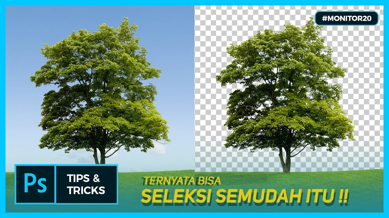 youtube-thumbnail