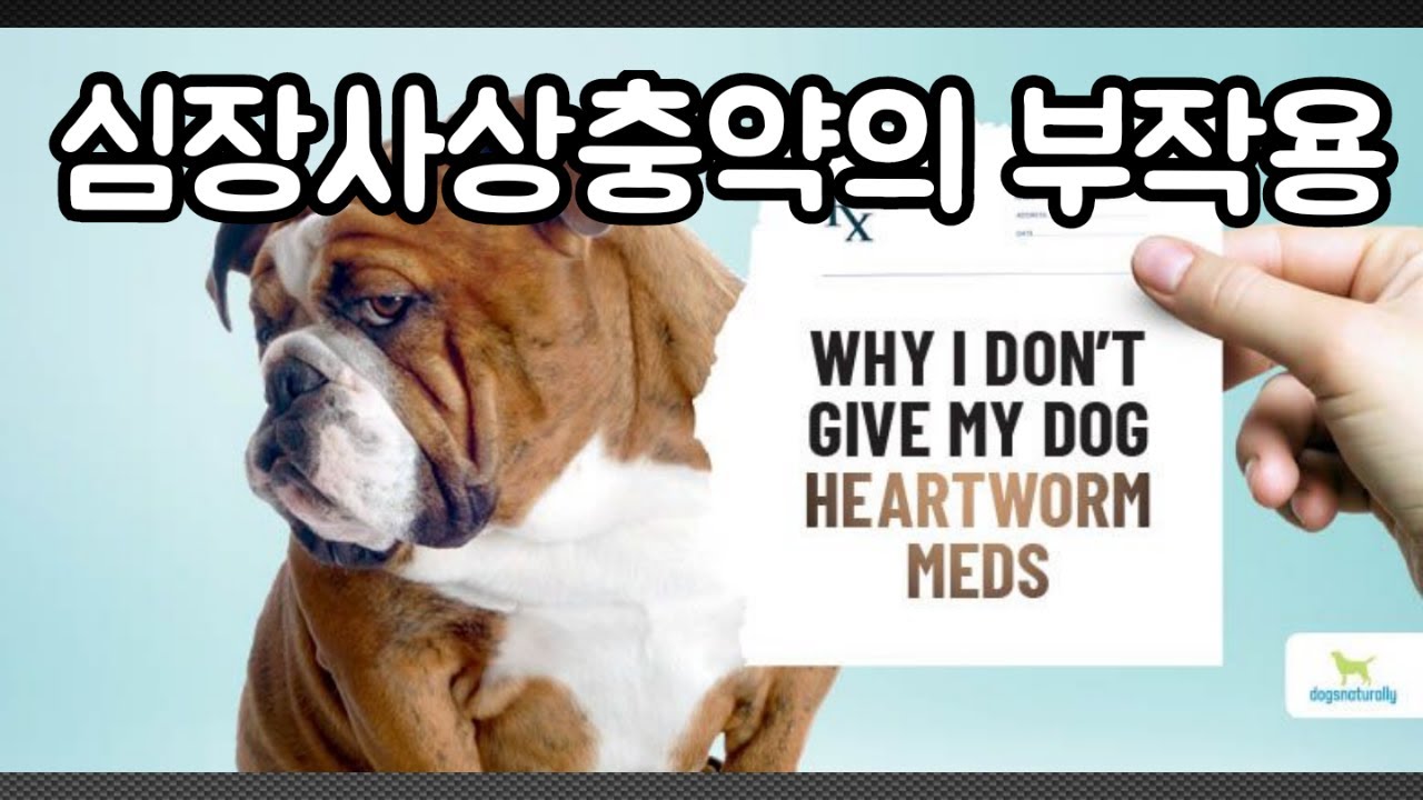 youtube-thumbnail