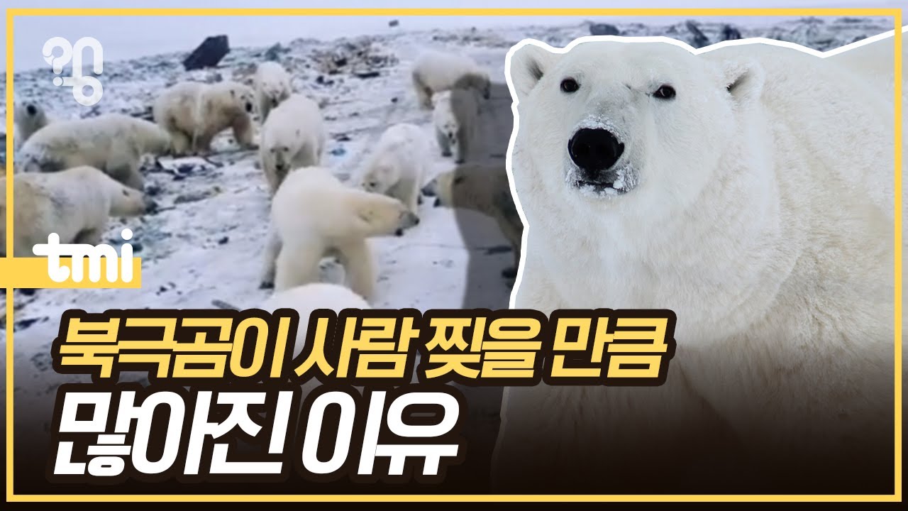youtube-thumbnail