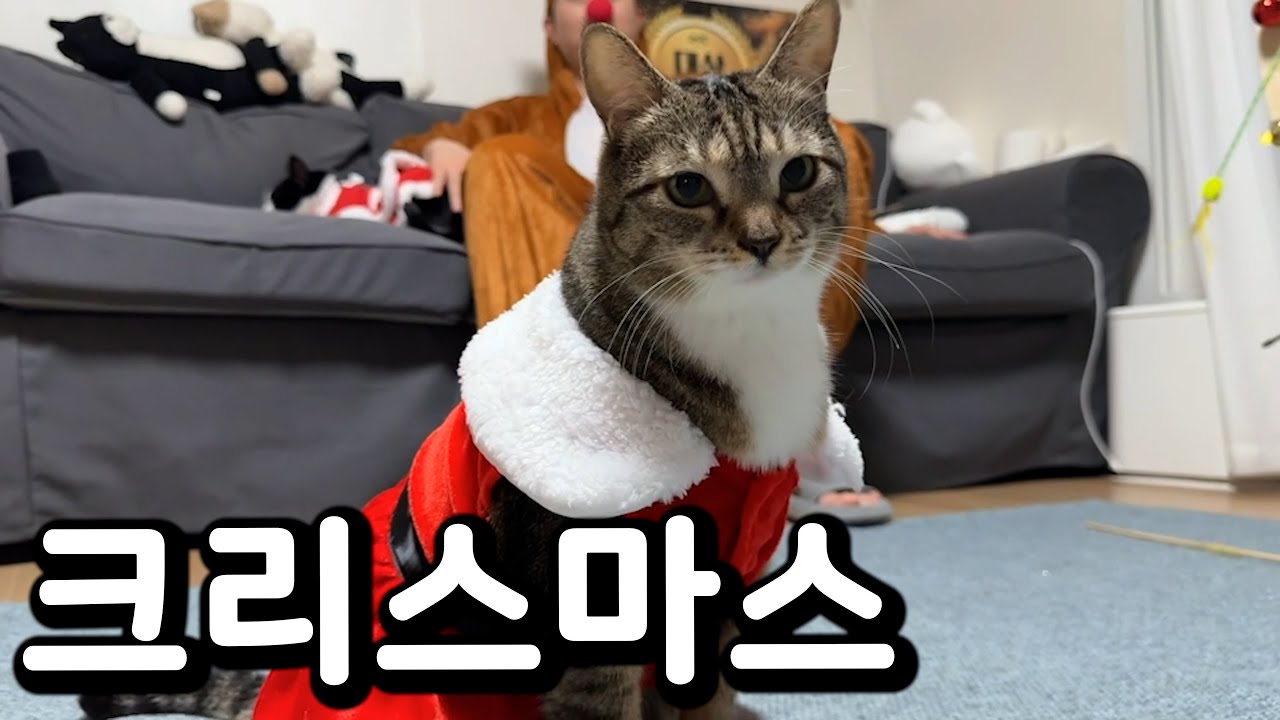youtube-thumbnail
