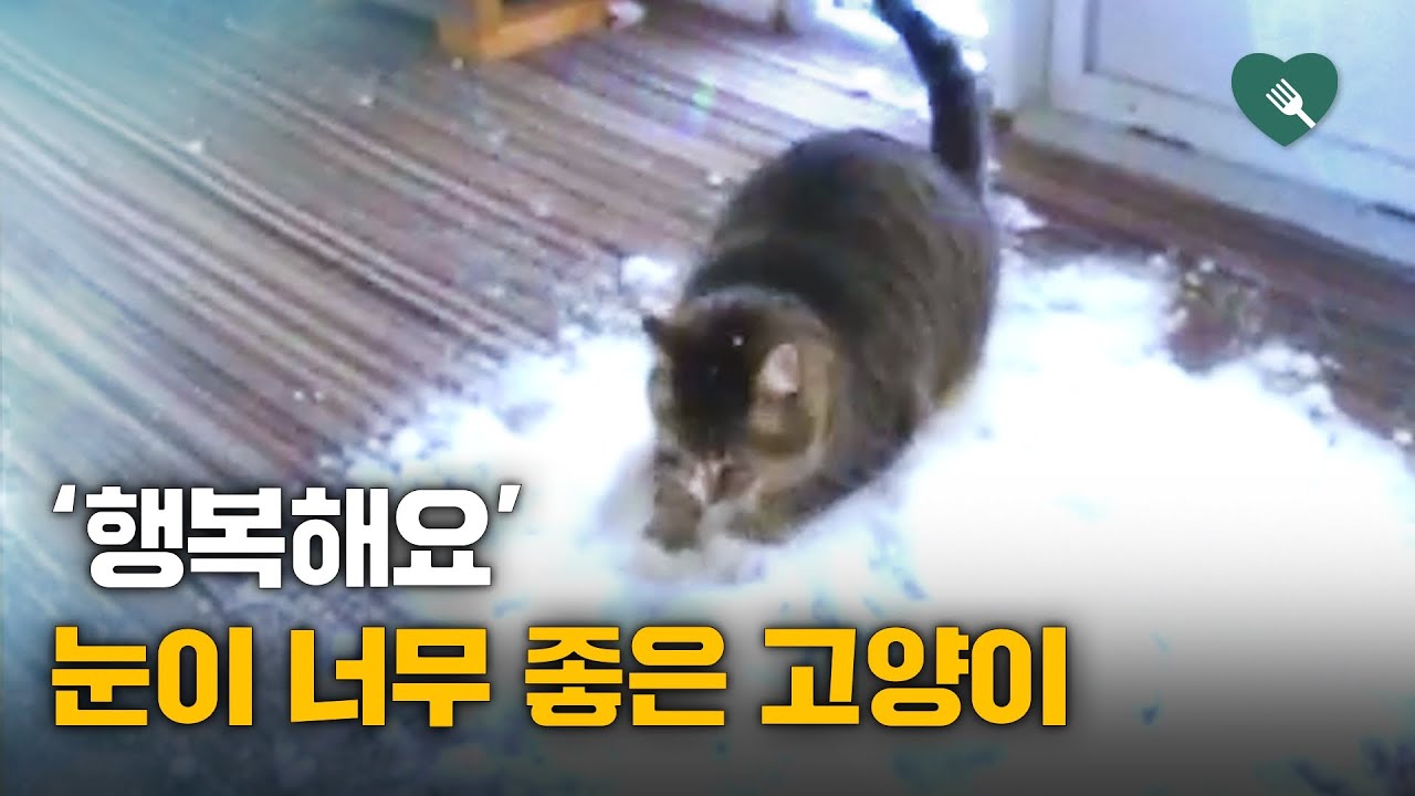 youtube-thumbnail