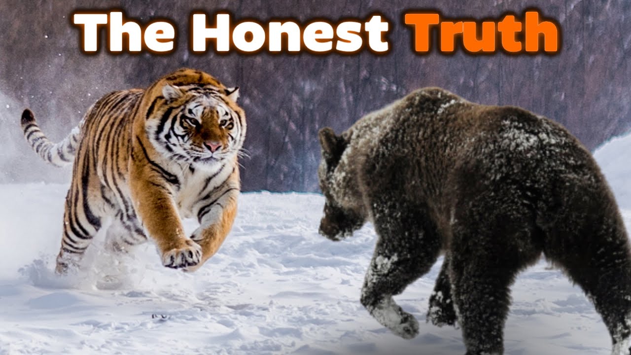 youtube-thumbnail