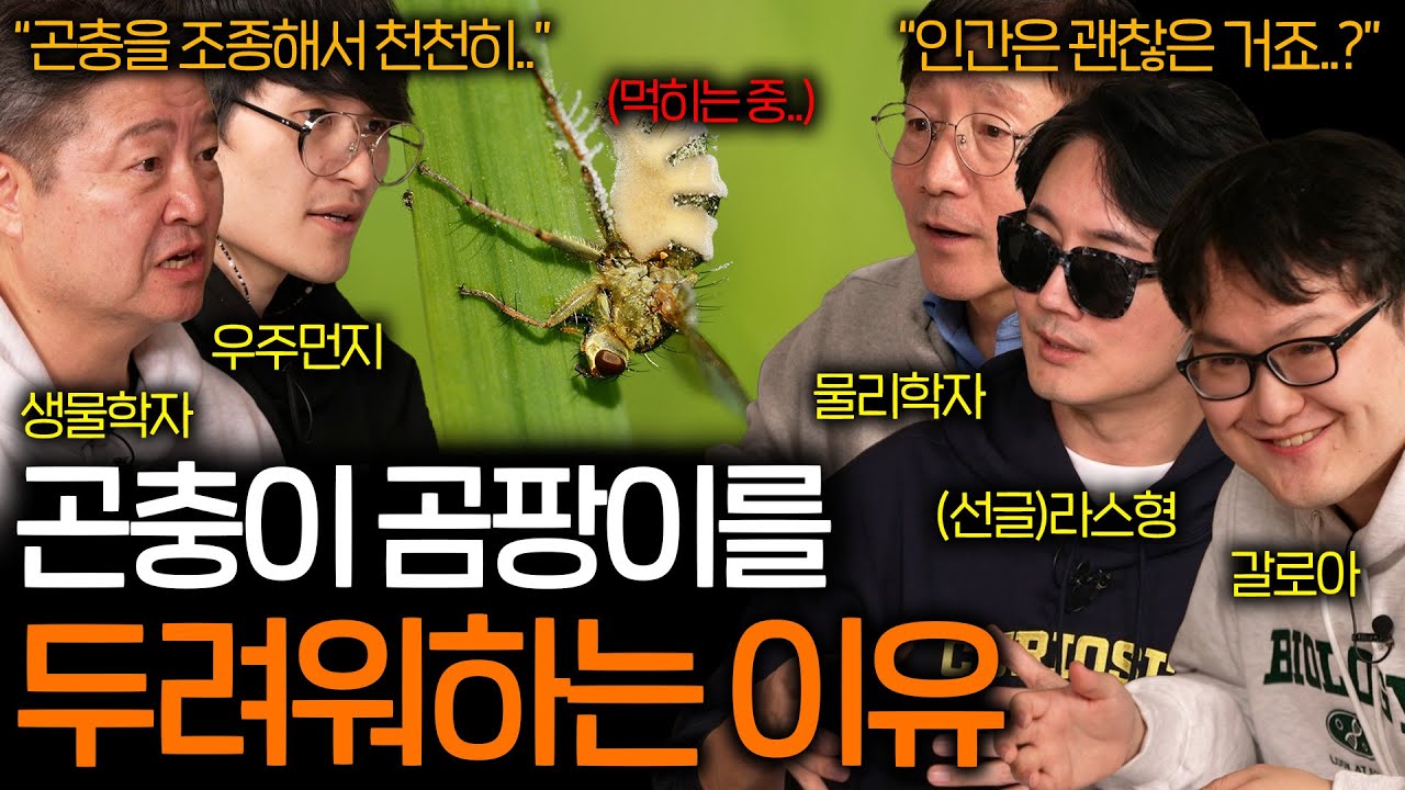 youtube-thumbnail