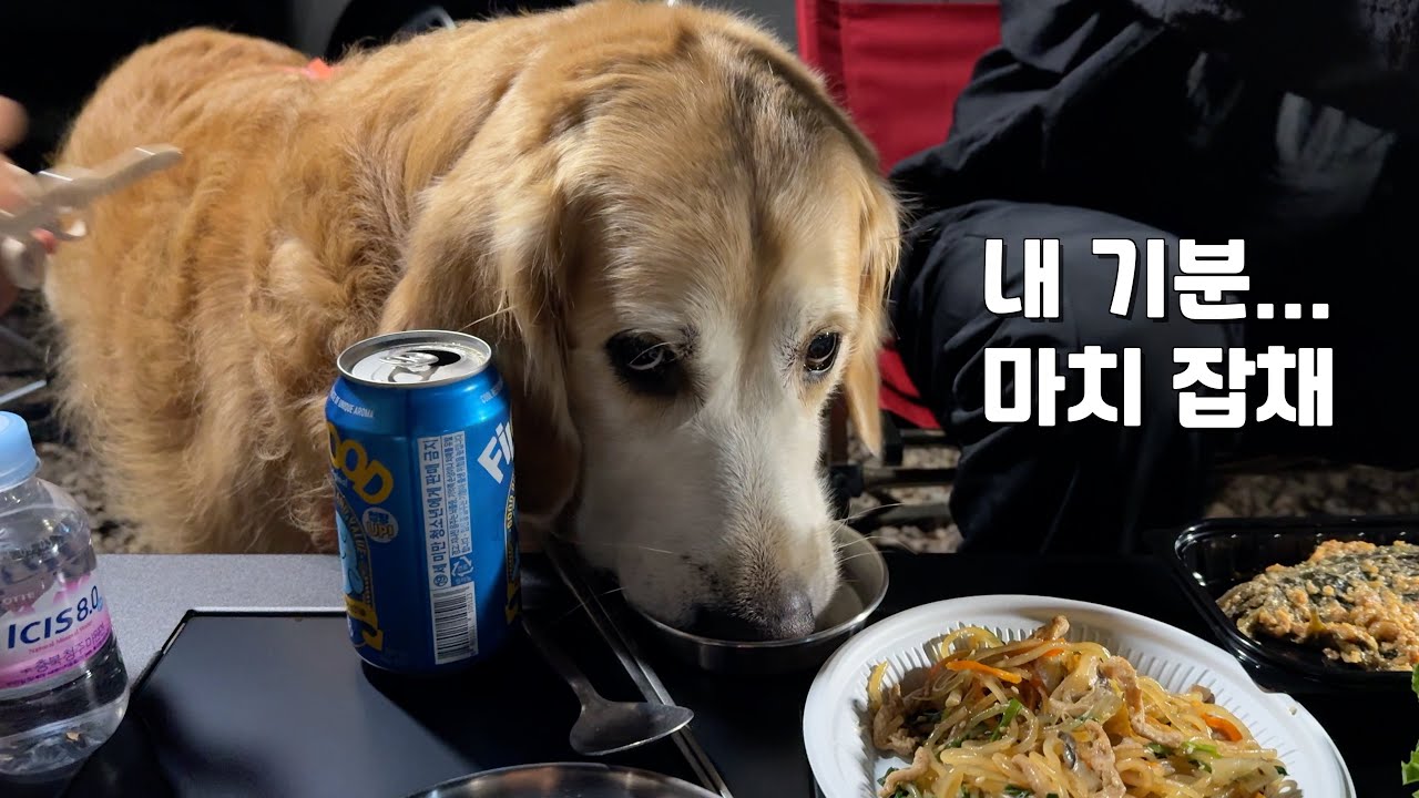 youtube-thumbnail