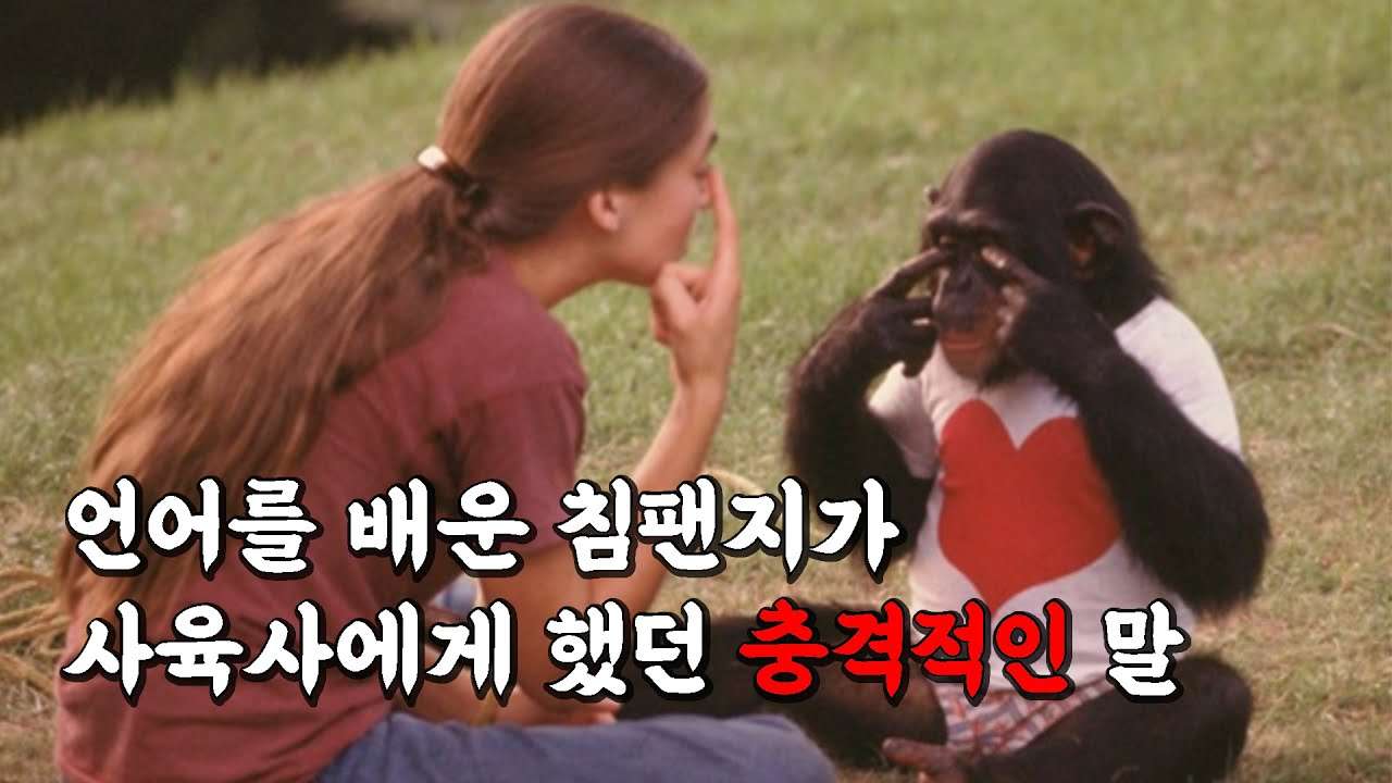 youtube-thumbnail