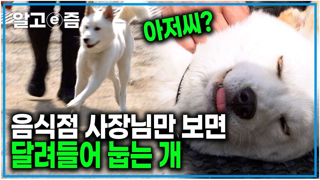youtube-thumbnail