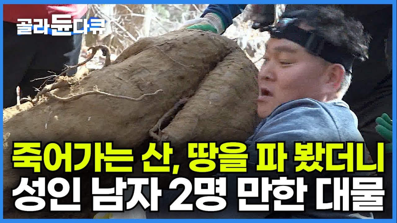 youtube-thumbnail