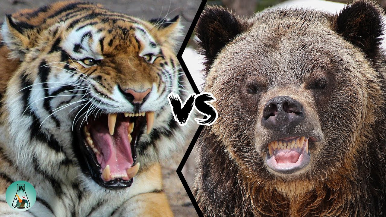 youtube-thumbnail