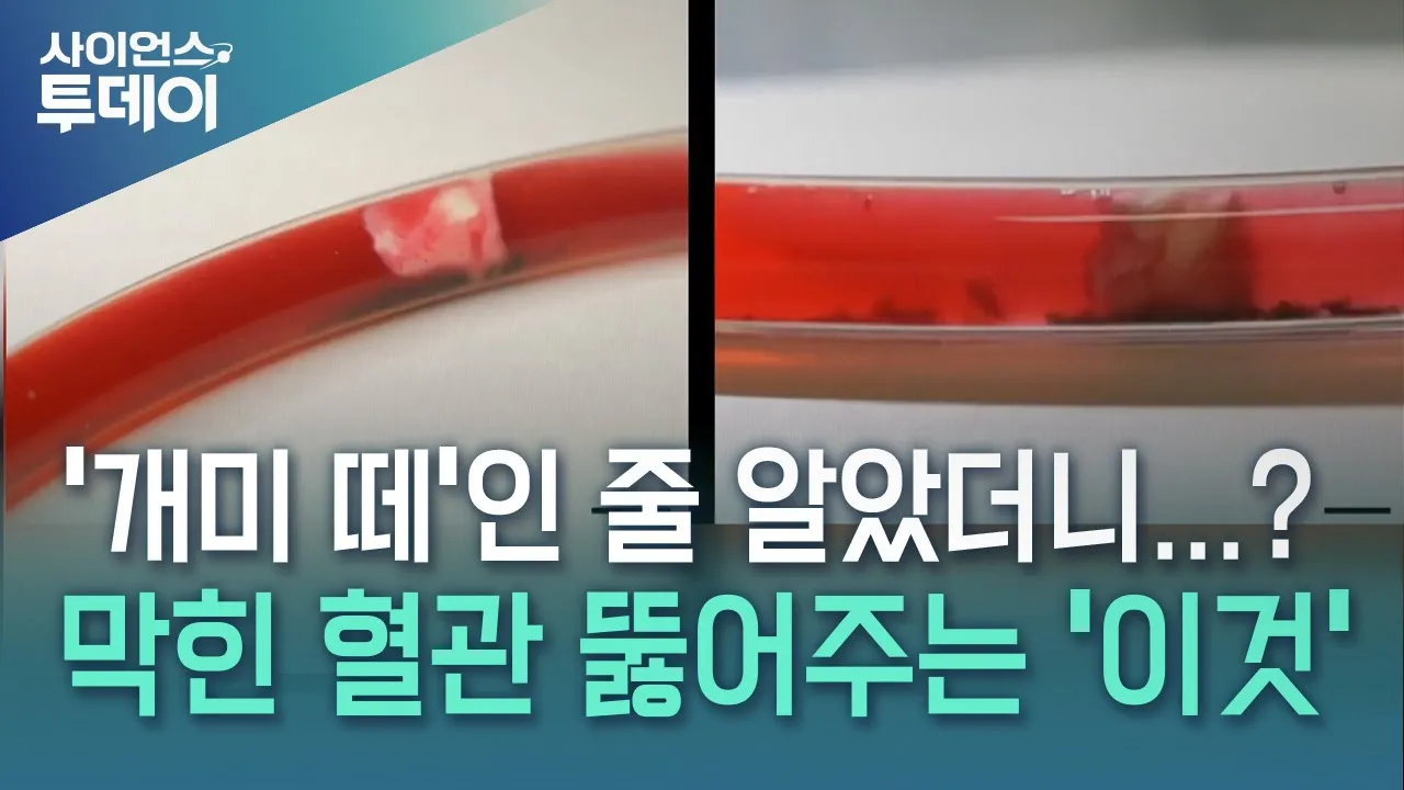 youtube-thumbnail