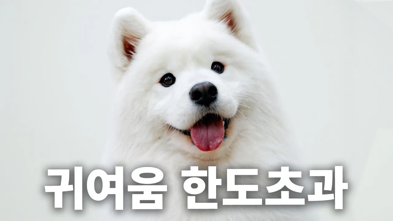 youtube-thumbnail