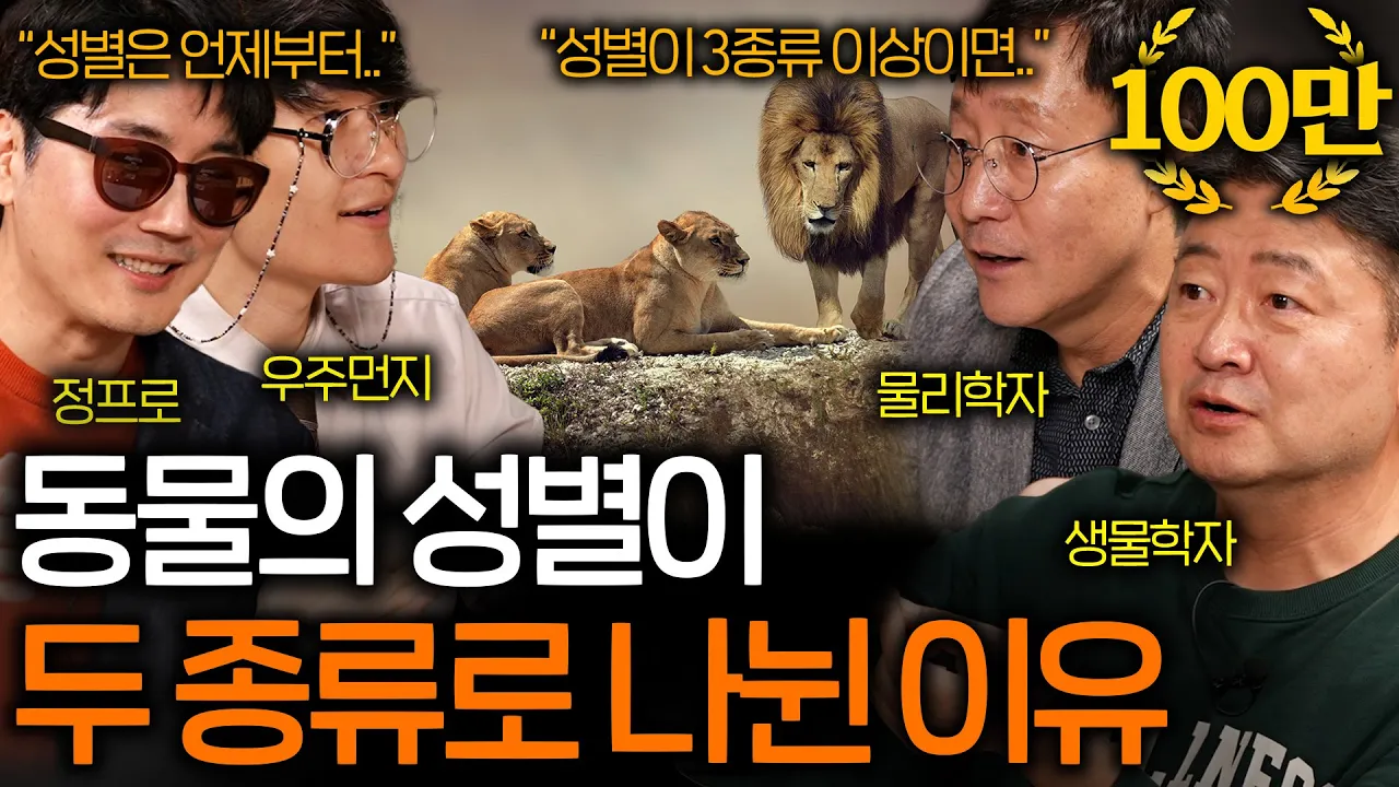youtube-thumbnail