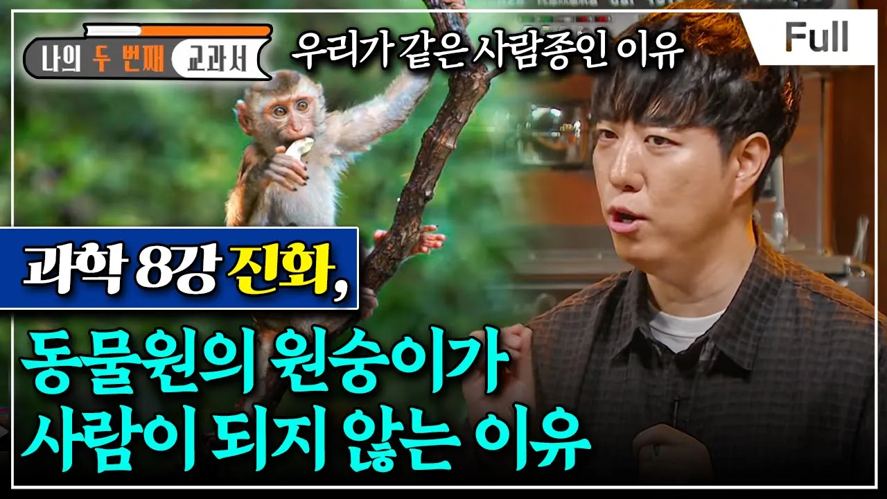 youtube-thumbnail
