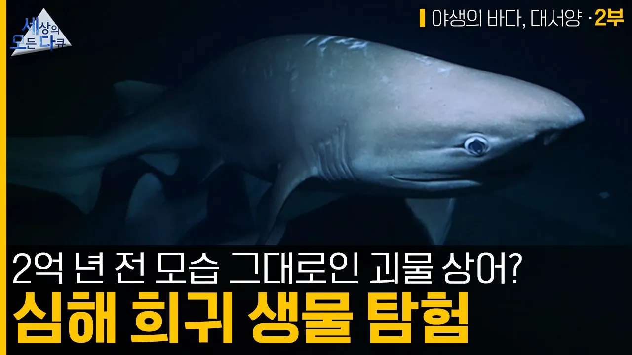 youtube-thumbnail
