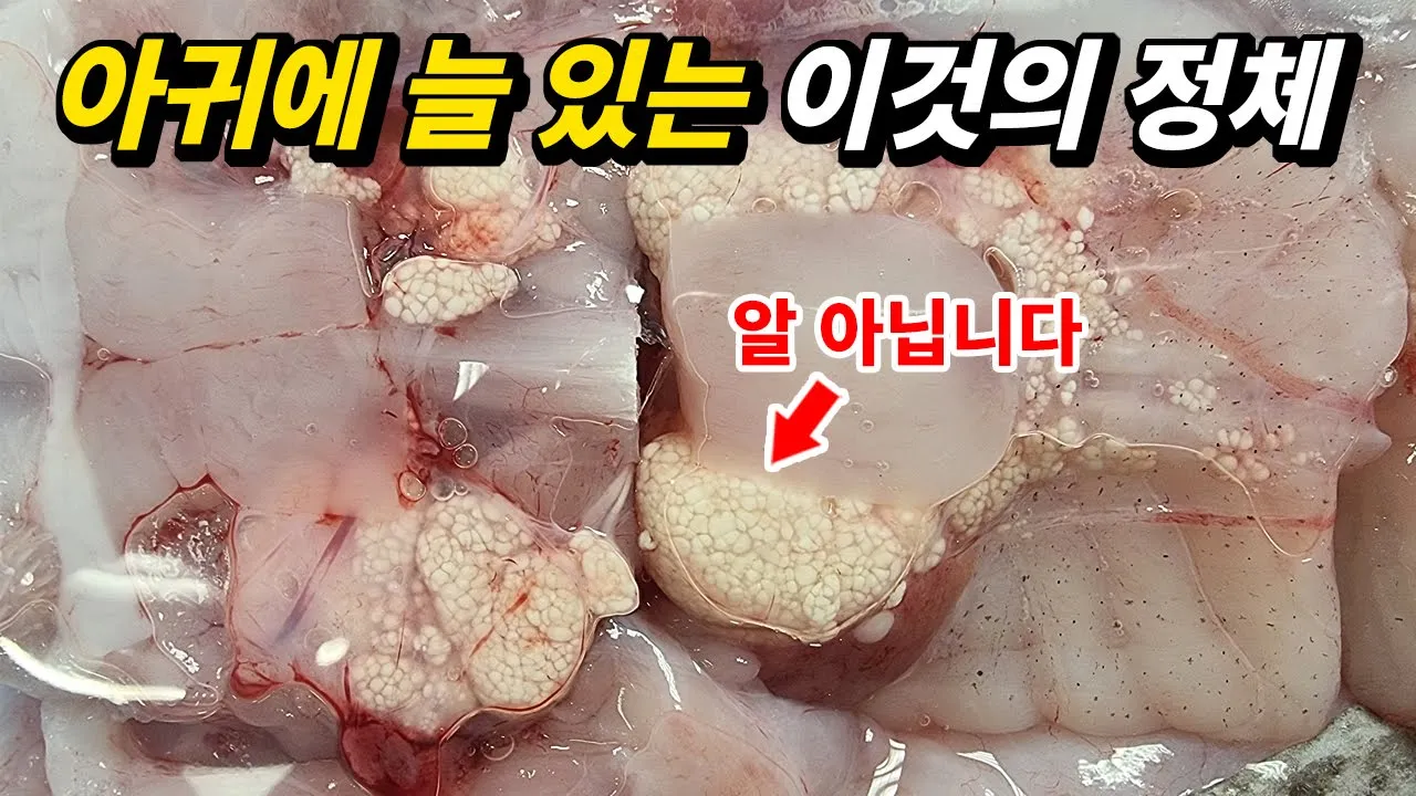 youtube-thumbnail