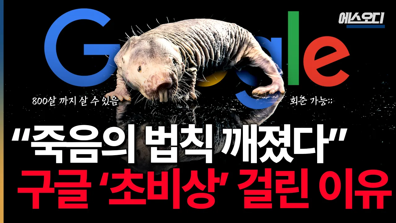 youtube-thumbnail