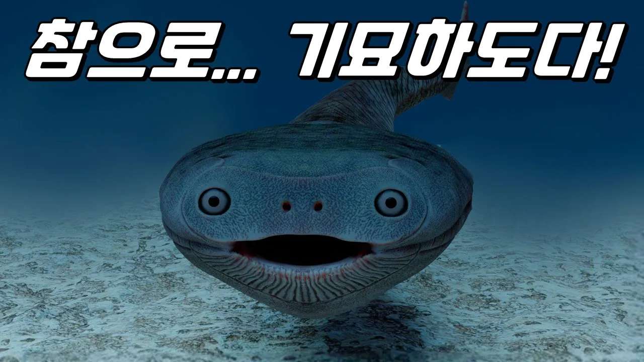 youtube-thumbnail